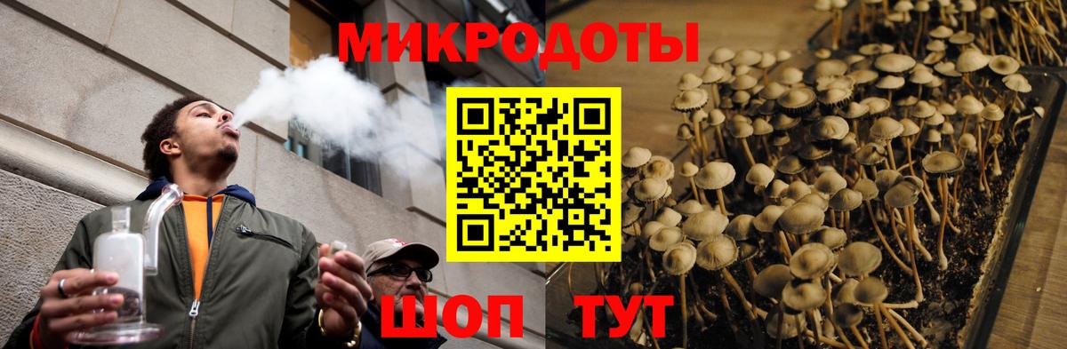 Заволжье  как найти закладки  Вход с VPN  Псилоцибиновые грибы мицелий 